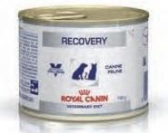 Royal Canin RECOVERY Canine/Feline - Диета для собак и кошек в восстановительный период (195 г) зоомагазине gavgav-market