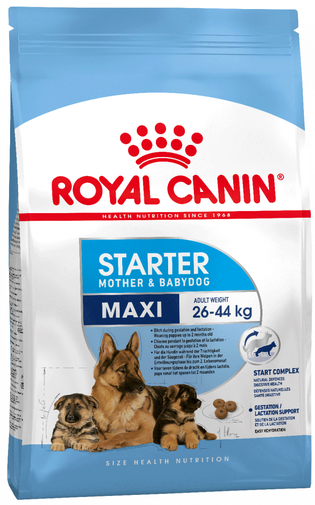Royal Canin Maxi Starter Корм для щенков до 2 месяцев, беременных и кормящих сук (4 кг) зоомагазине gavgav-market
