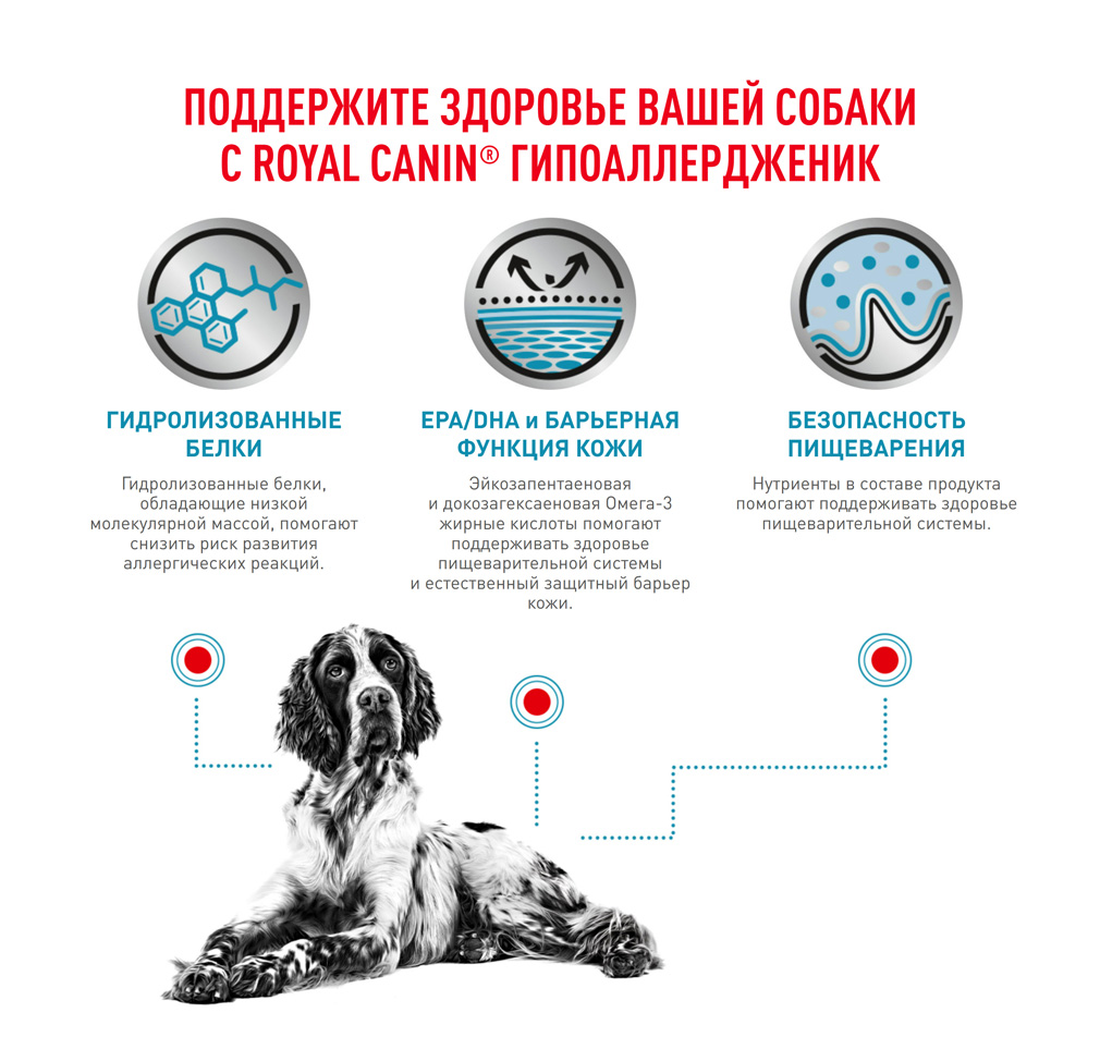 Hypoallergenic-dogs_05.jpg