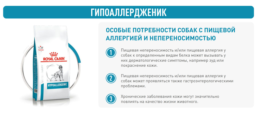 Hypoallergenic-dogs_04.jpg