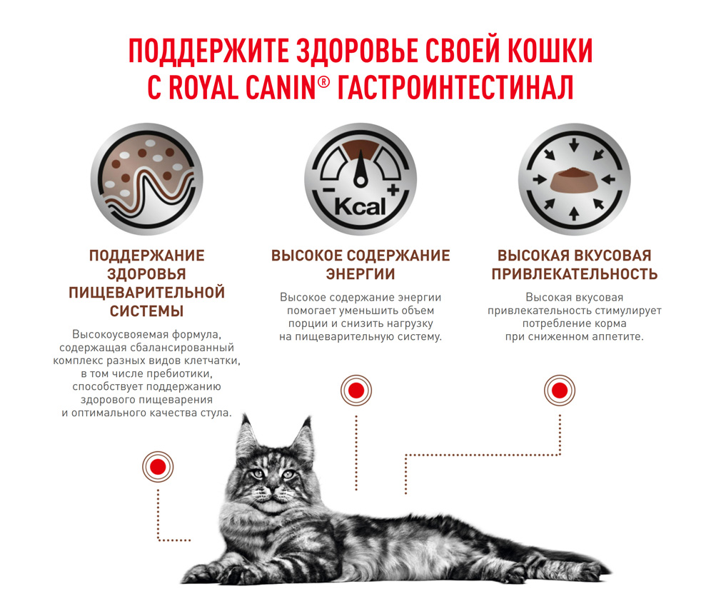 Gastro-cat-dry_05.jpg