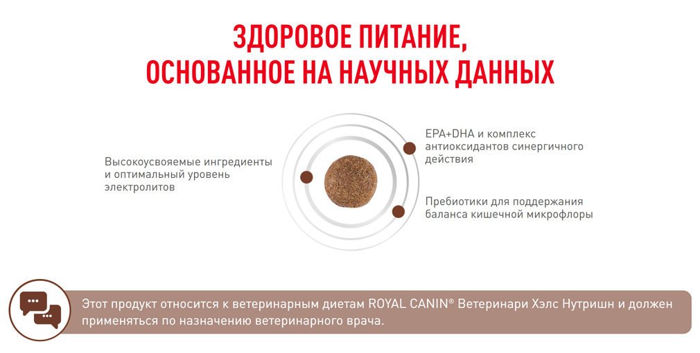 Gastro-dog_06.jpg