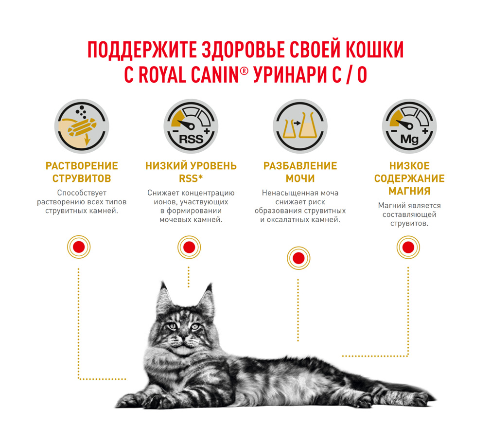 Urinary-cat_05.jpg