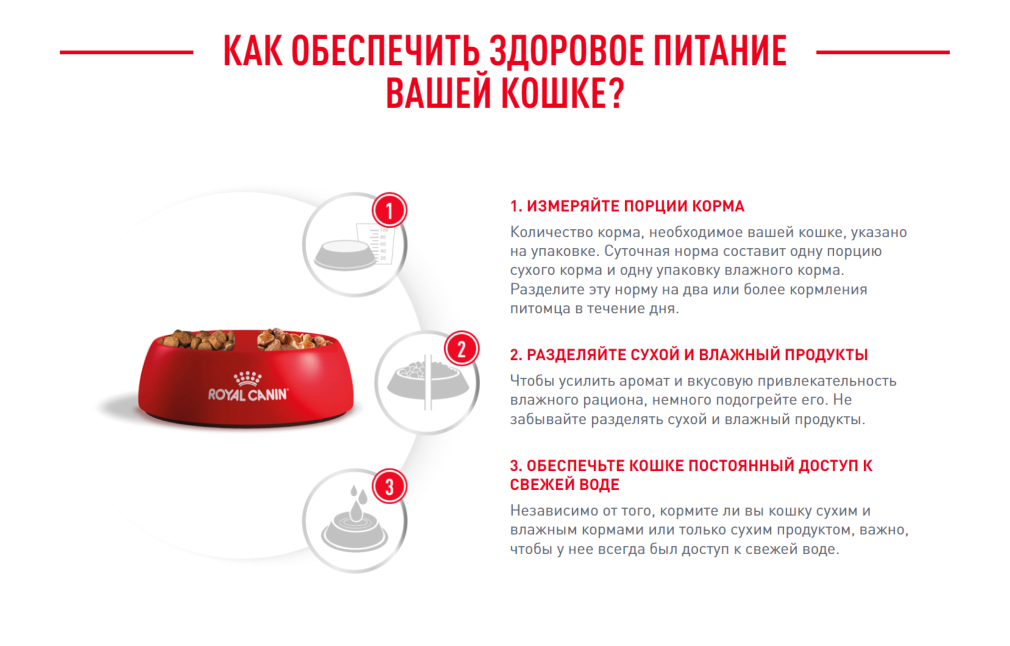 07 Urinary Dry.png 07 Urinary Dry.png